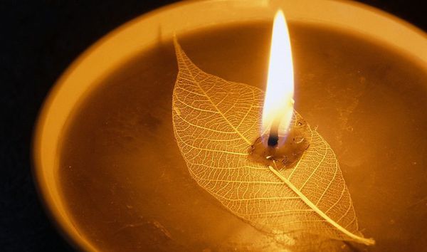 灯光照耀在眼前1