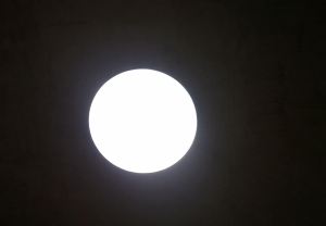 Impression von der Raketenstation Hombroich